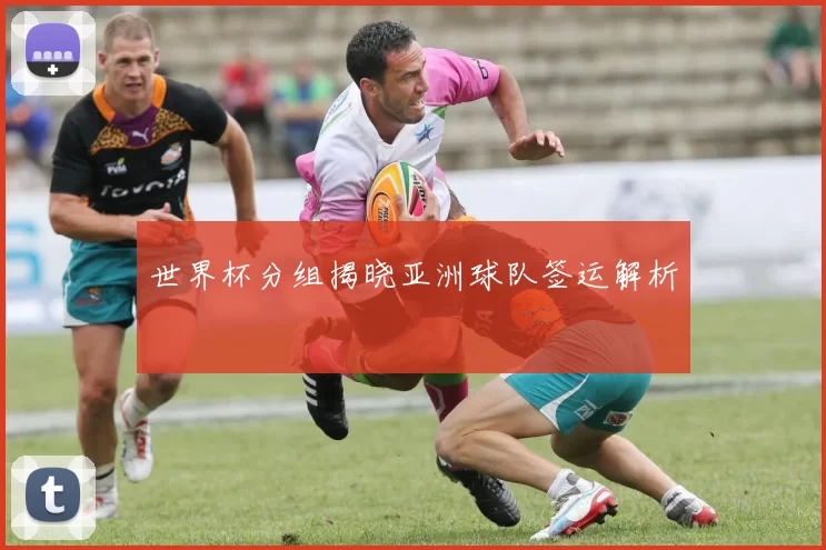 世界杯分组揭晓亚洲球队签运解析