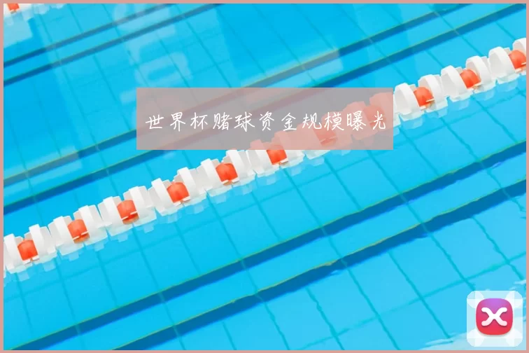 世界杯赌球资金规模曝光
