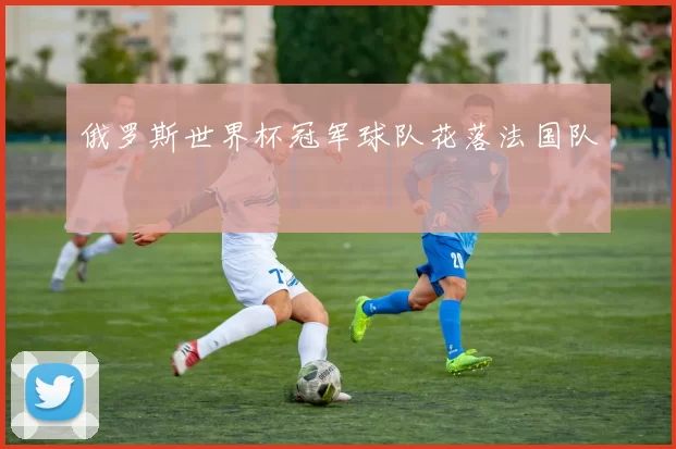 俄罗斯世界杯冠军球队花落法国队