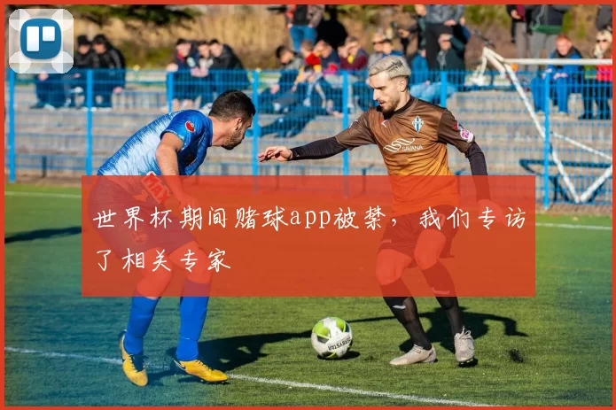 世界杯期间赌球app被禁，我们专访了相关专家