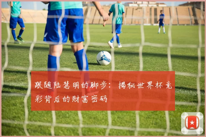 跟随陆慧明的脚步：揭秘世界杯竞彩背后的财富密码