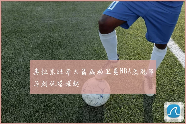 奥拉朱旺率火箭成功卫冕NBA总冠军马刺双塔崛起