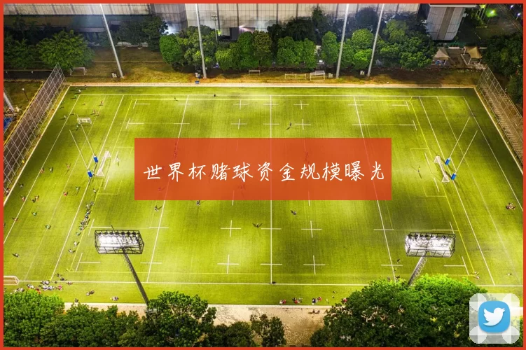 世界杯赌球资金规模曝光