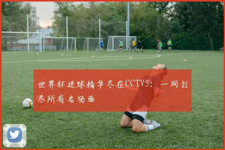 世界杯进球精华尽在CCTV5：一网打尽所有名场面