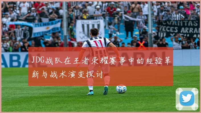 JDG战队在王者荣耀赛事中的经验革新与战术演变探讨