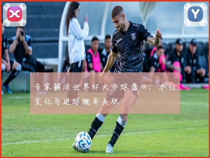 专家解读世界杯大小球盘口:水位变化与进球概率关联