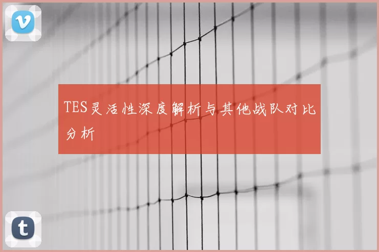 TES灵活性深度解析与其他战队对比分析