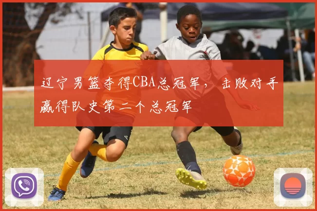 辽宁男篮夺得CBA总冠军，击败对手赢得队史第二个总冠军