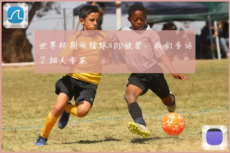 世界杯期间赌球app被禁，我们专访了相关专家