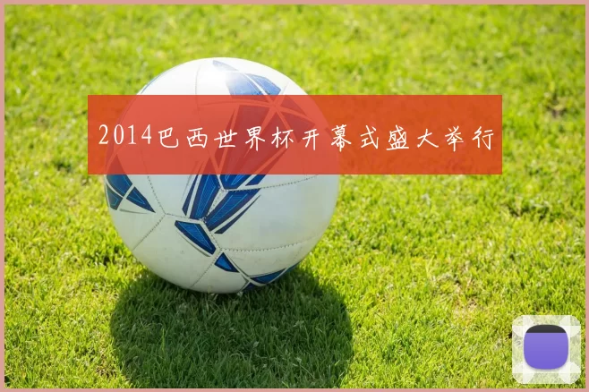 2014巴西世界杯开幕式盛大举行