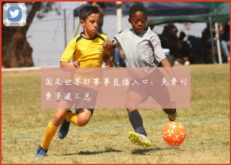 国足世界杯赛事直播入口，免费付费渠道汇总