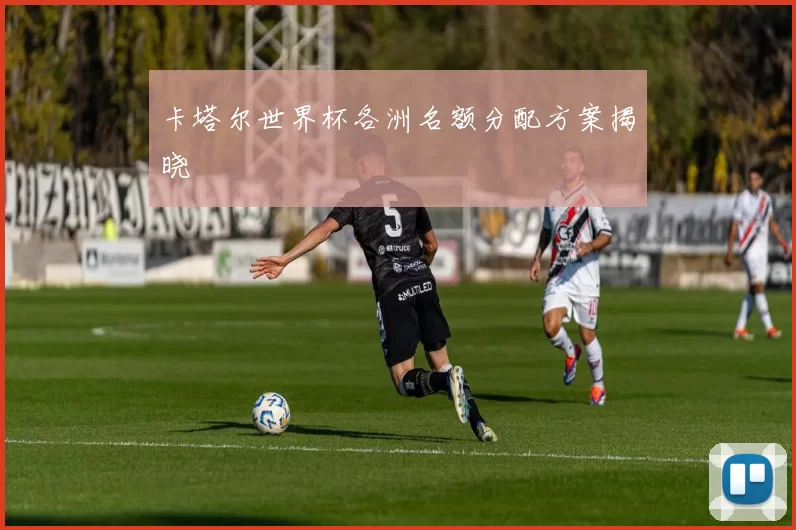 卡塔尔世界杯各洲名额分配方案揭晓