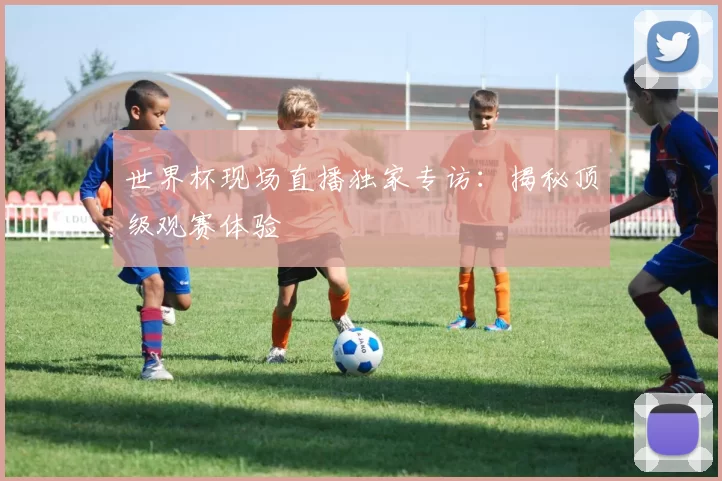 世界杯现场直播独家专访：揭秘顶级观赛体验