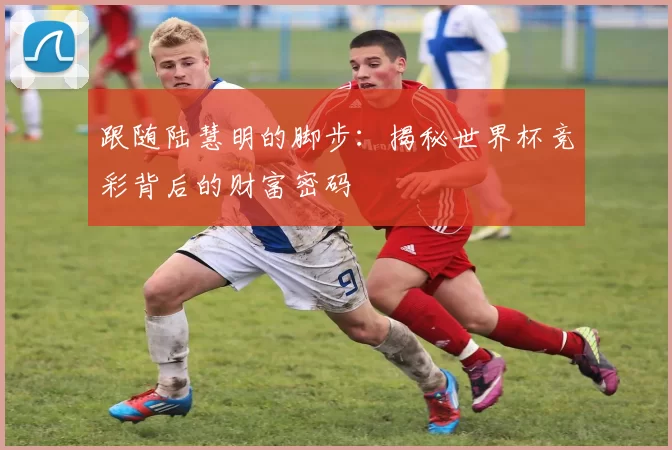 跟随陆慧明的脚步:揭秘世界杯竞彩背后的财富密码